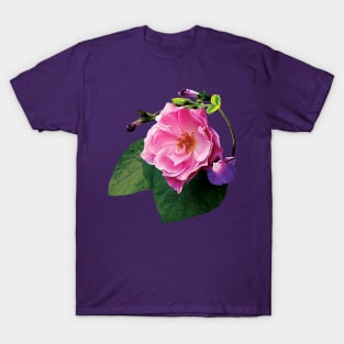 Roses - Pink Rose and Purple Morning Glories T-Shirt